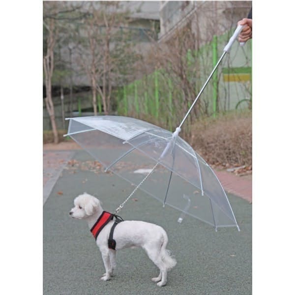 Paraguas para perros Puppia
