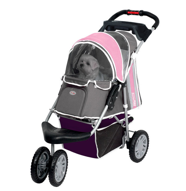 Cochecito Buggy Innopet First Class Rosa